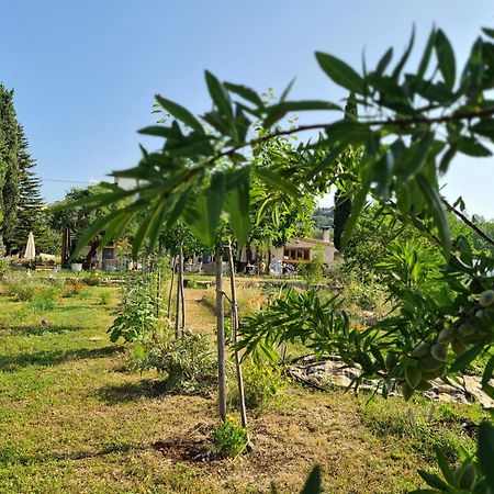 Vila La Ferme Constantin Fayence Exteriér fotografie