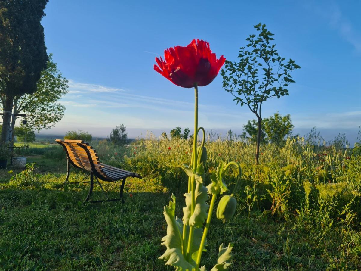 Vila La Ferme Constantin Fayence Exteriér fotografie
