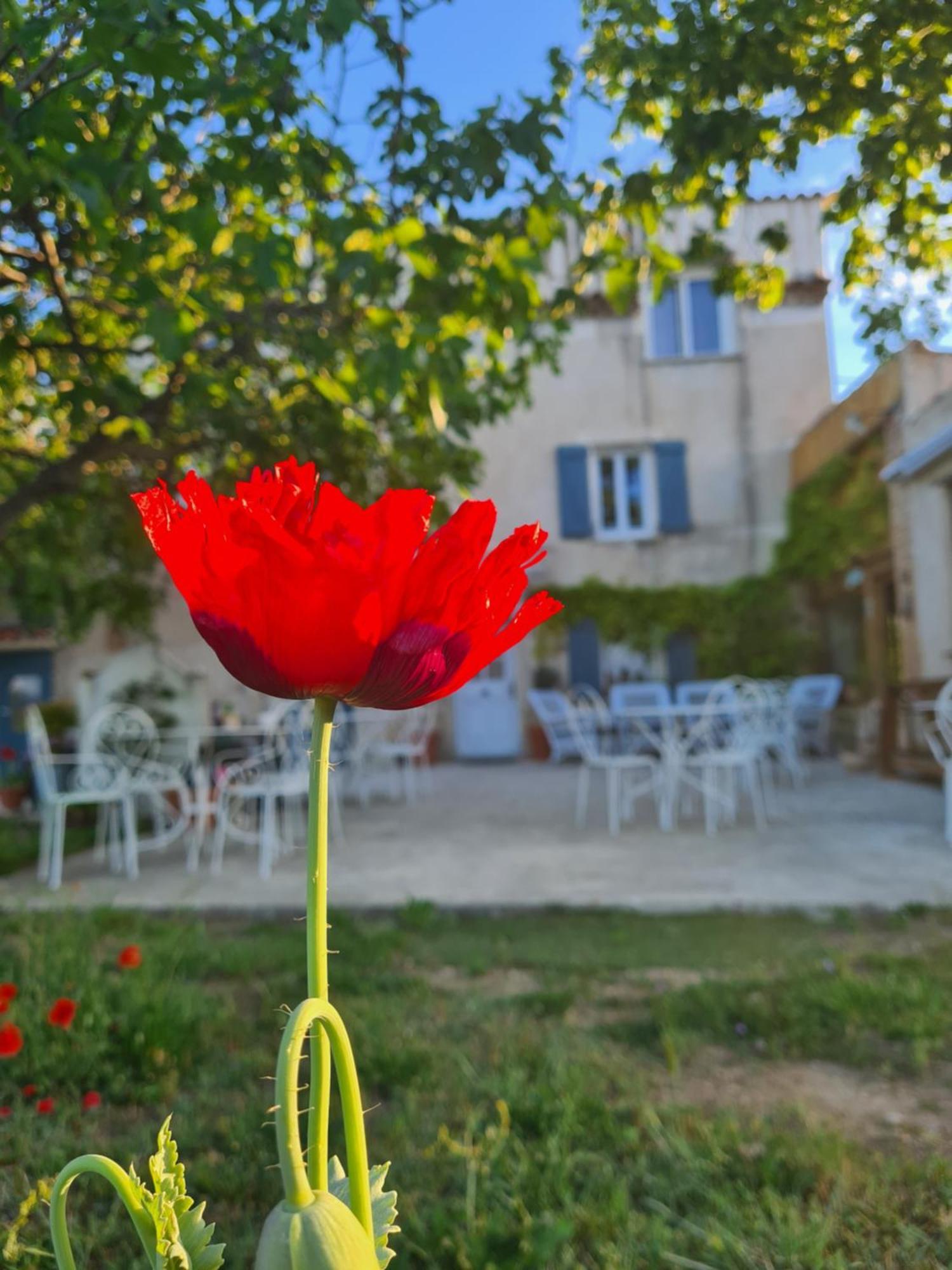 Vila La Ferme Constantin Fayence Pokoj fotografie