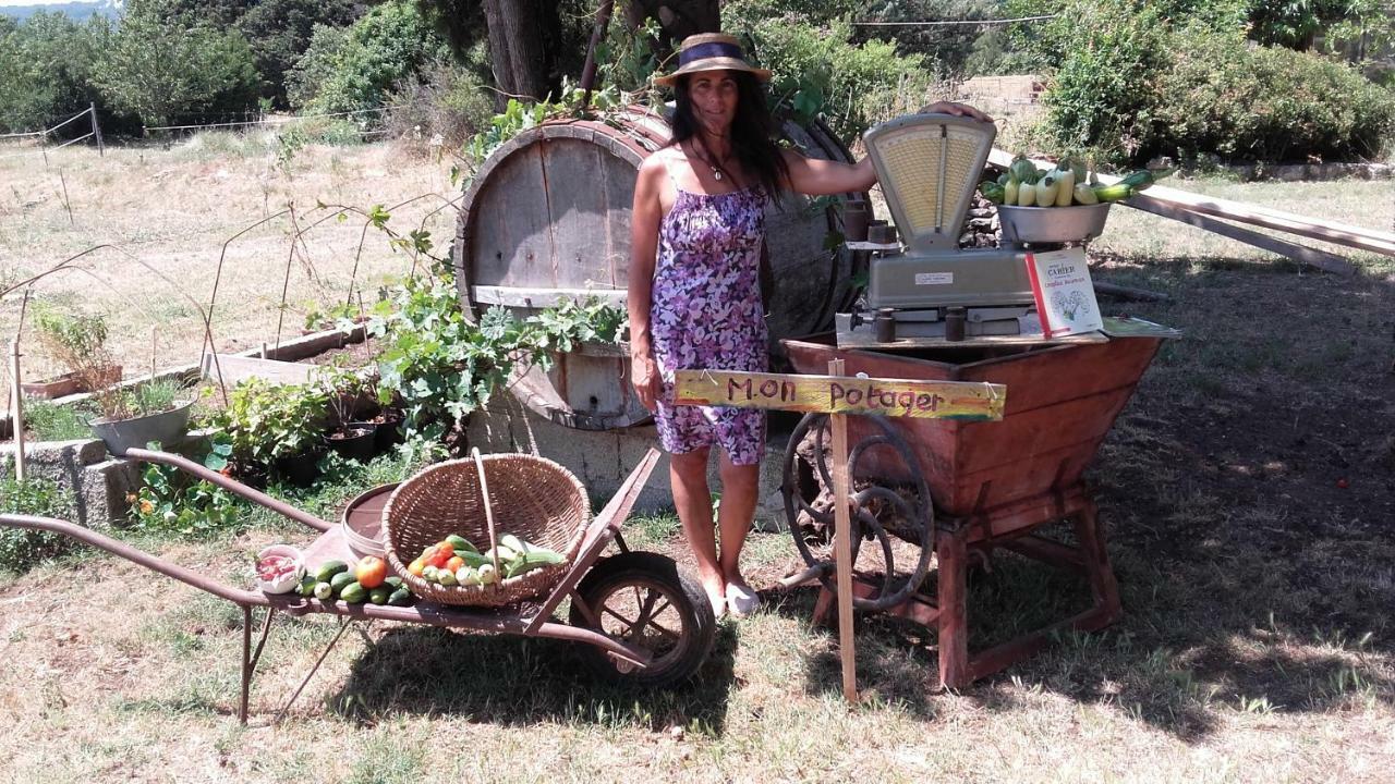 Vila La Ferme Constantin Fayence Exteriér fotografie