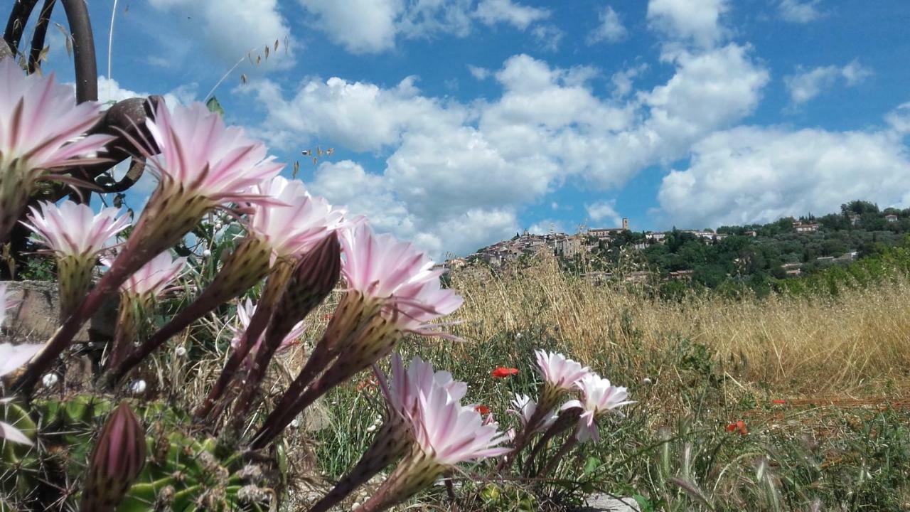 Vila La Ferme Constantin Fayence Exteriér fotografie